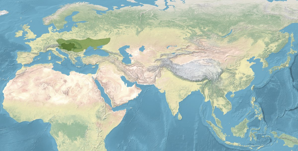 Avar Khanate