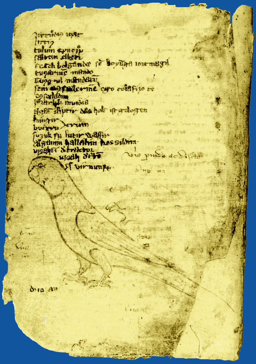 Kuman's Historical Roles and Traces