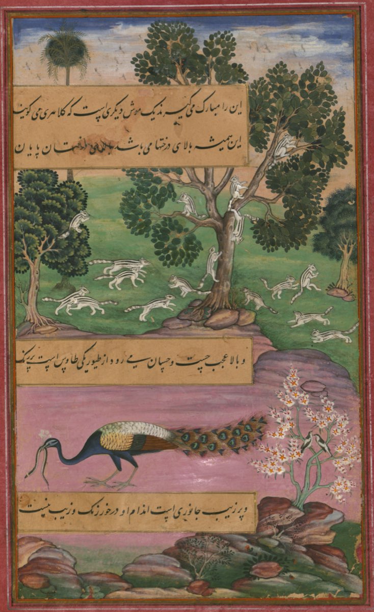 Science, Culture and Art in Babur Empire