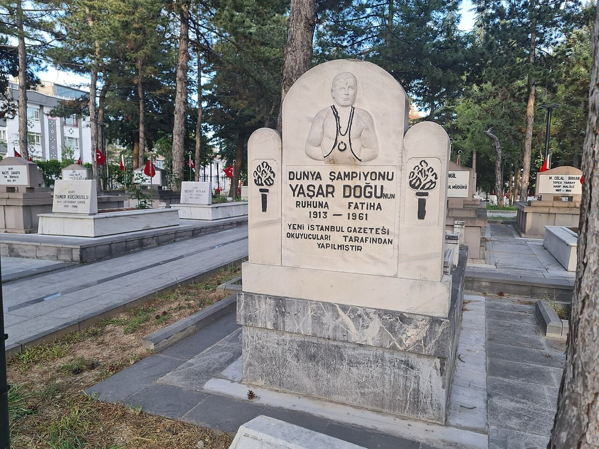 YASAR DOGU