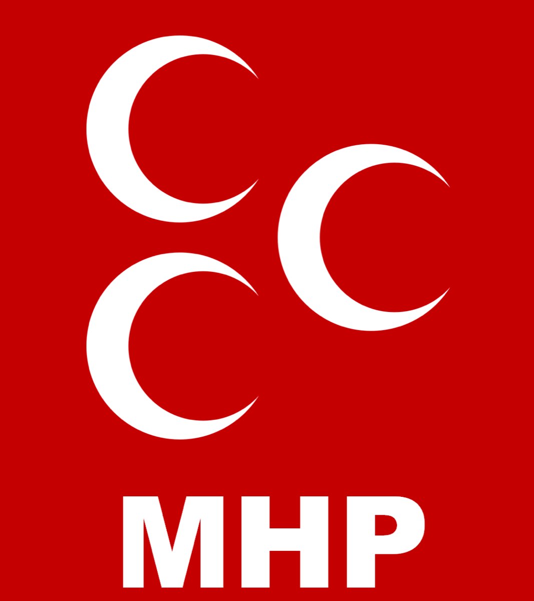 ÖZ TÜRKLER / TÜRK - TURAN TARİHİ